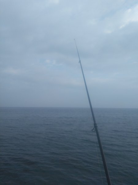 IMG_20191028_165408.jpg