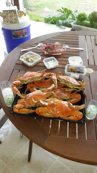 IMG_4362.JPG