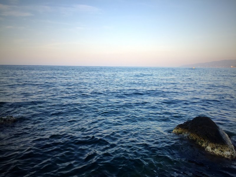 IMG_8866.JPG
