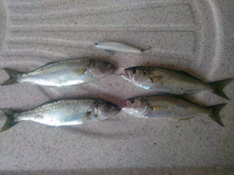 received_10153649616174000.jpeg
