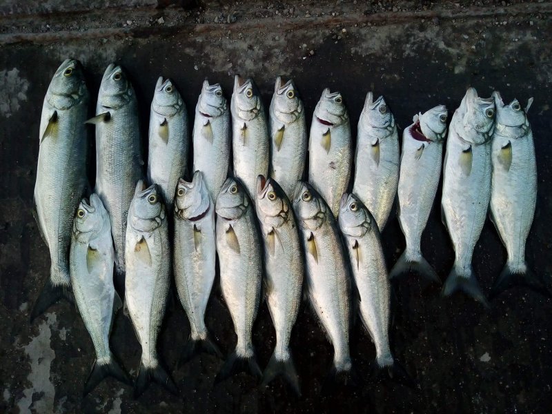 received_1043115352444076.jpeg