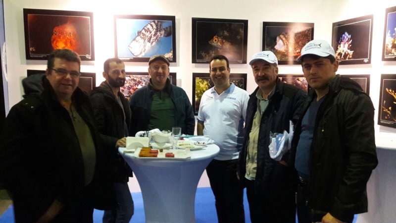 WhatsApp Image 2018-02-14 at 16.24.27.jpeg